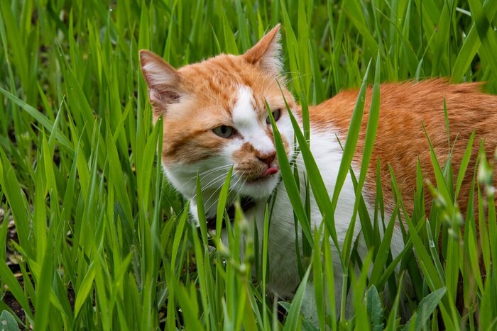 Полезный перекус.