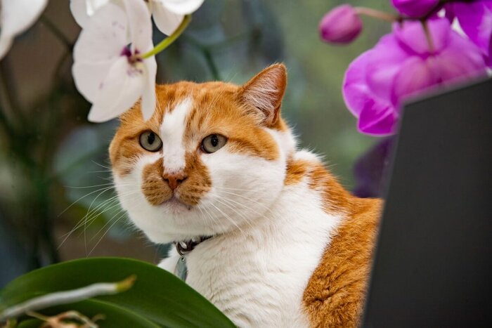 "Не очень и хотелось"