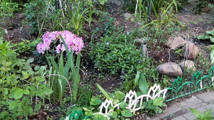 Серебряный бор. Москва Достопримечательности, Москва, Культура, Парк, Природа, Длиннопост