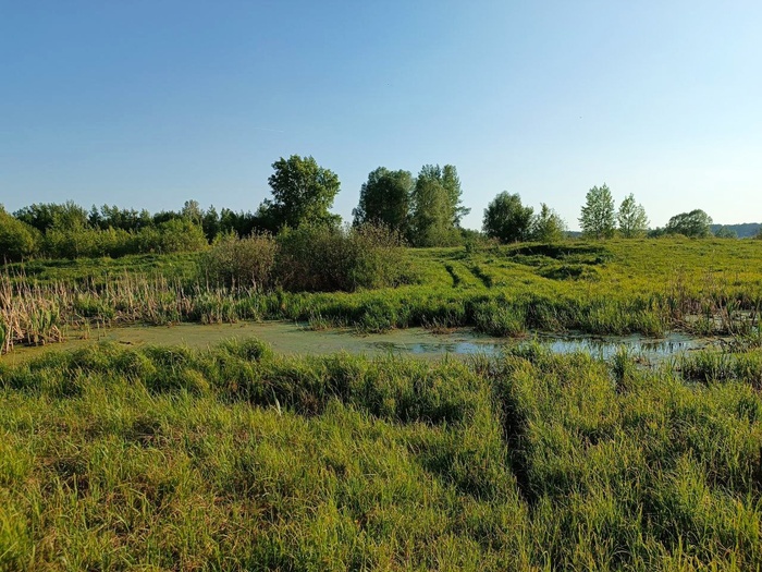 Второй тупик. Видно, что какая-то машина умудрилась проехать здесь. Ну а мы на великах - в объезд.