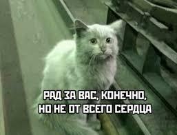 Как я радуюсь за москвичей