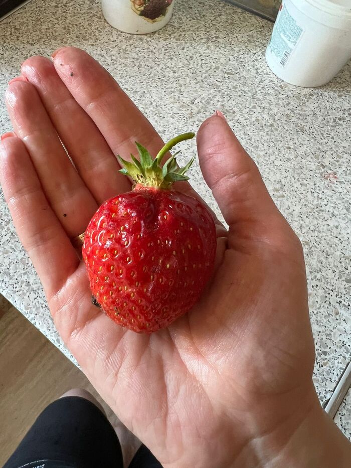 ��� ������� �������