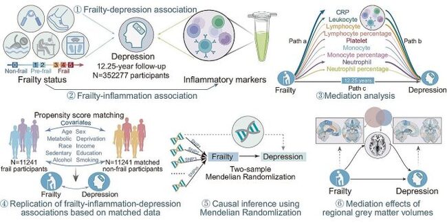 Nature Communications (2024)