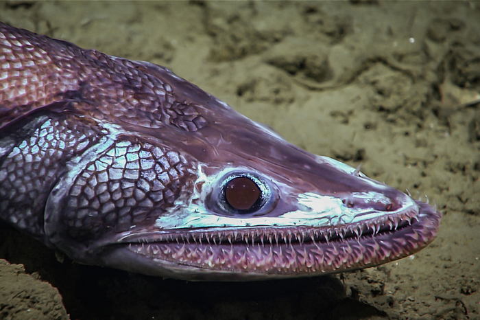 Славик, ну чего ты в своей комнате всё время сидишь? Выйди, поздоровайся с гостями!