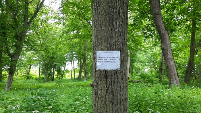 Повышенное скопление клещей, наличие гадюк