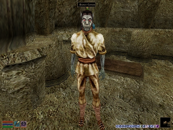   (Vuvil Senim) Bethesda, The Elder Scrolls, The Elder Scrolls III: Morrowind, , , RPG, , 