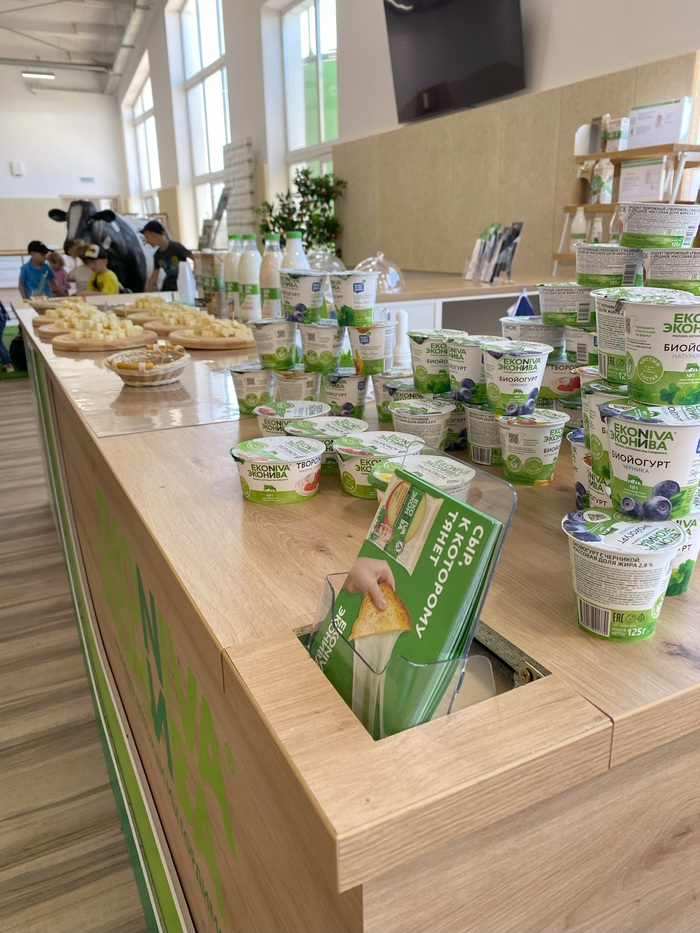 Мы продегустировали свежий йогурт, молоко и сыр, что-то понравилось, что-то нет, но так или иначе после экскурсии мы поехали в фирменный магазин за продукцией.