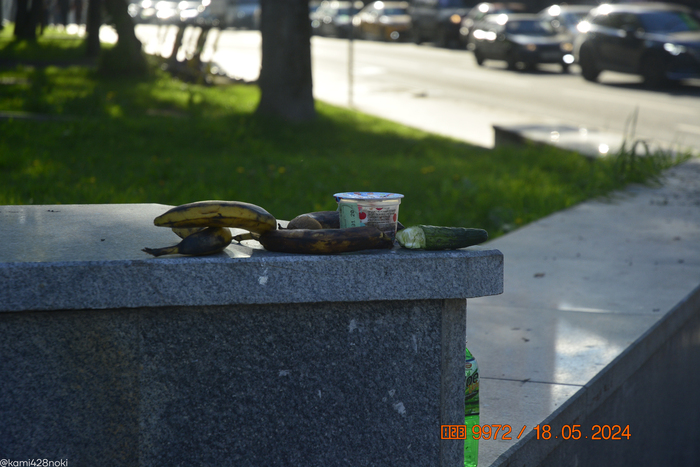 Небось это была еда бездомных, которая гниёт...