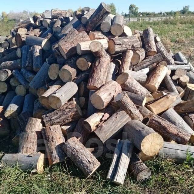Оскорбления чувст чурки... | Пикабу