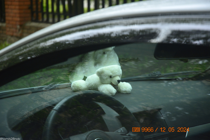 Какая милая игрушка