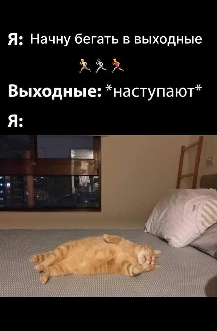 ���-10 ����� ��� ��� �� ��� 2024 ���� �� ������ FUN RUN