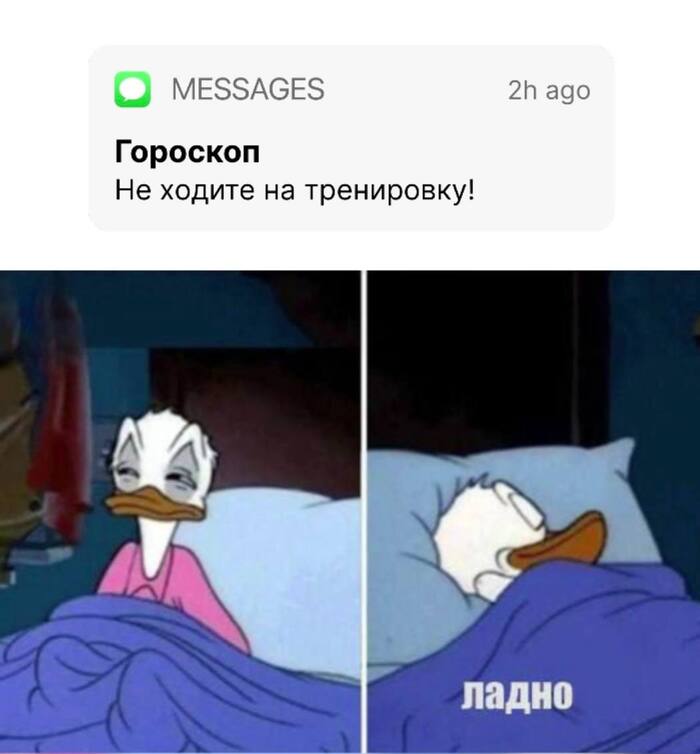 ���-10 ����� ��� ��� �� ��� 2024 ���� �� ������ FUN RUN