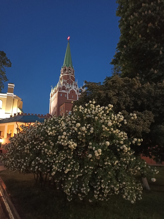 ���-�� ����� ����� � ����� ������ �� ���� ������.