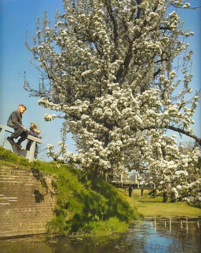 ��������: ��� �����