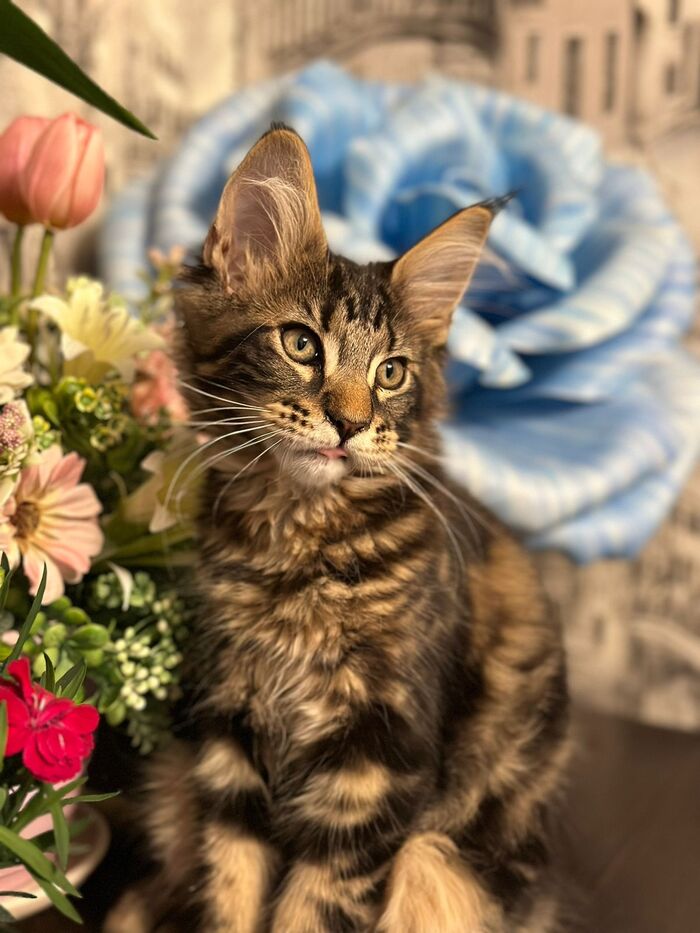 ����� �����...