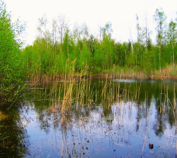 Весенний пейзаж