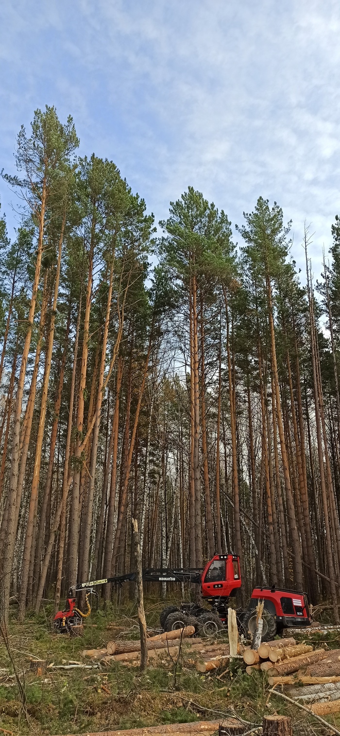 Масштаб машины и леса. И она справляется с такими великанами.