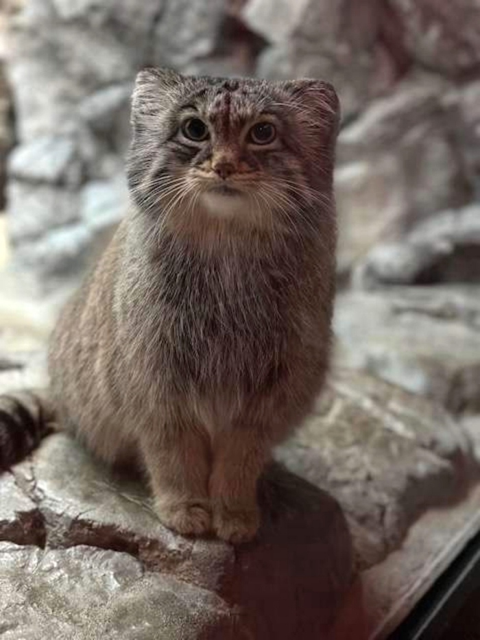 Кто на свете всех милее?