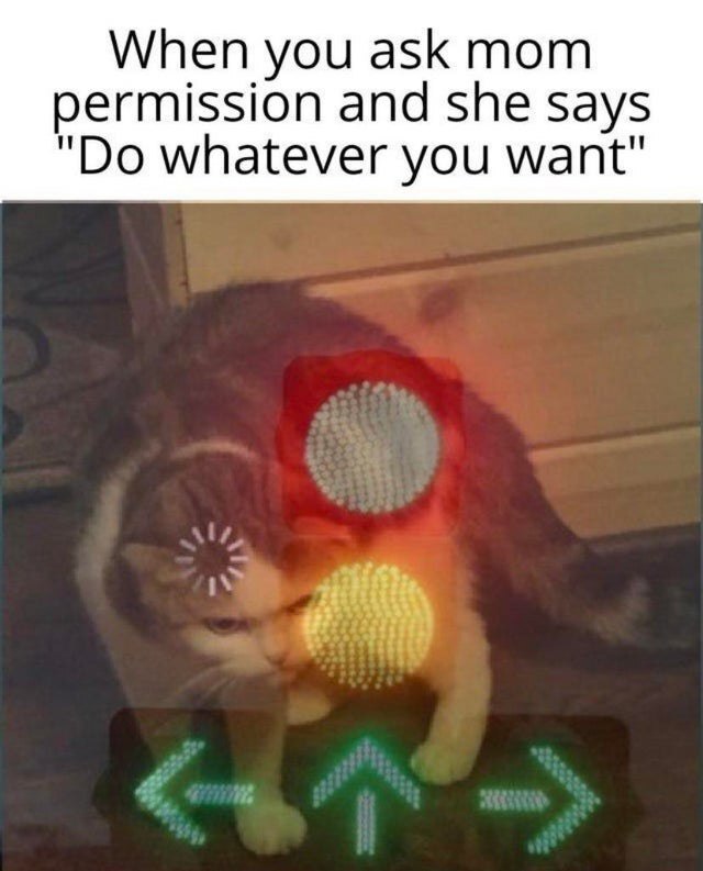 Permission - ����������