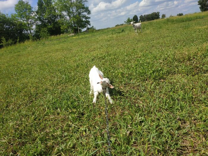 �������� �����, �������� �������� ��������������.