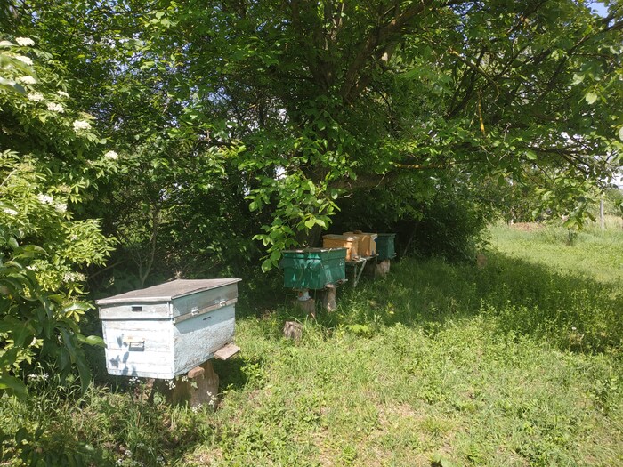 � ������� ������ ������ ����, ��������, ������� ��� ���.