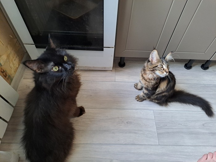 ���� � ����(��������12��� � �������� 4 ������)