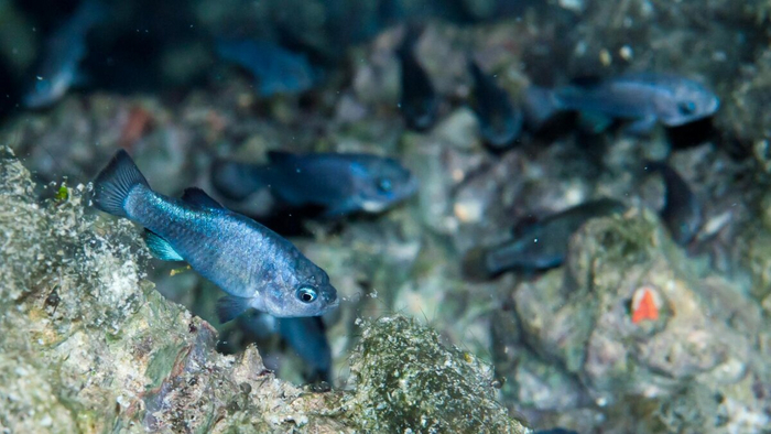   ,        ,        ! -       .