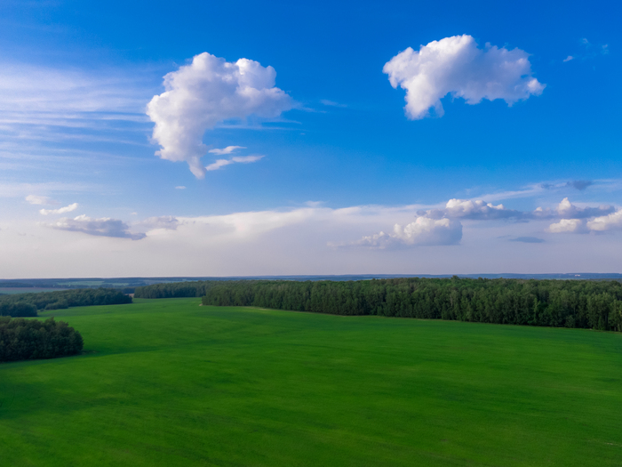 Подмосковье