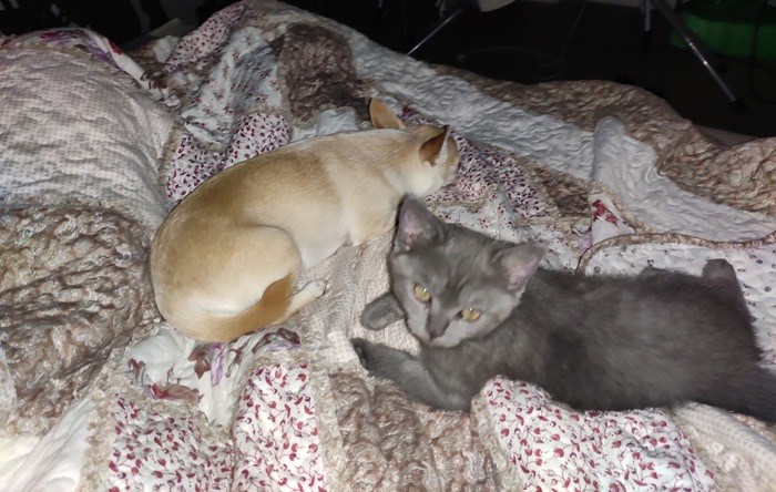   .  () , 6 .  () , 3,5   .