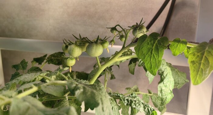 ������ � ��������. ���� ��������, ������ � ������ �����