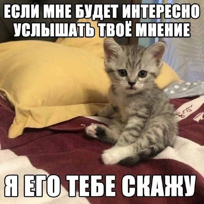 На случай важных переговоров