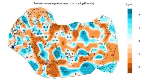 Зоны генетических барьеров во внутренней Евразии обозначены коричневым цветом (величина барьера соответствует интенсивности цвета по шкале). Зоны генетического смешения показаны голубым цветом (степень соответствует интенсивности цвета по шкале).