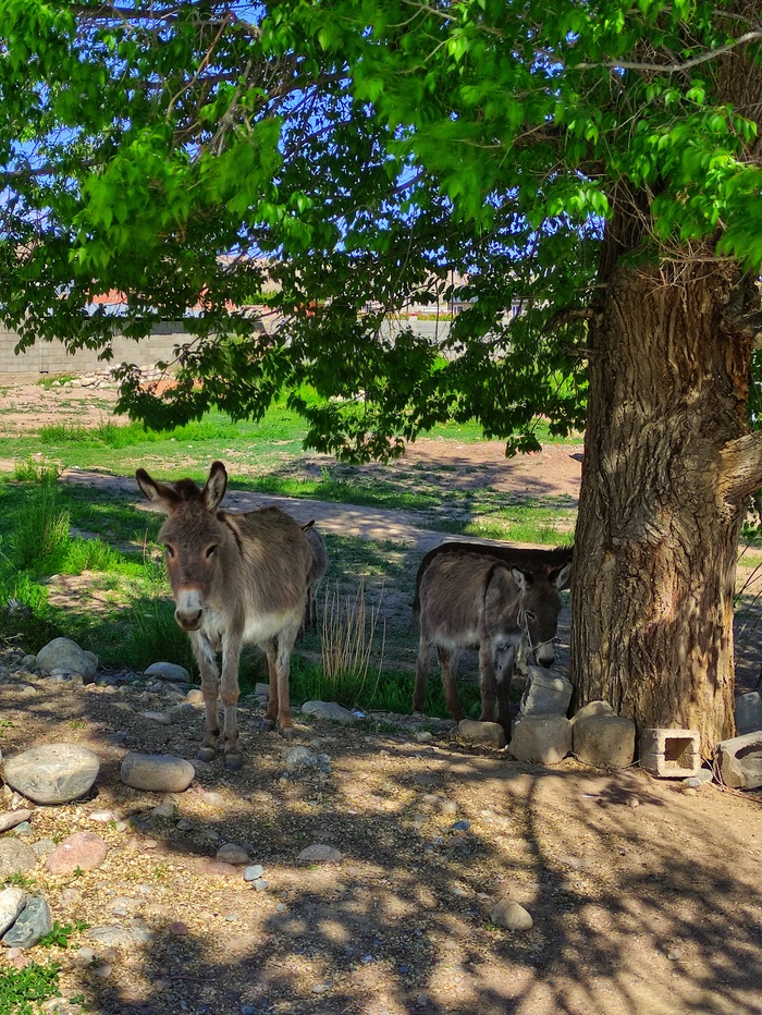 Есть чё пожевать?