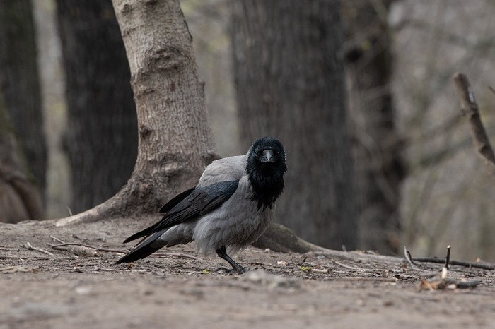 Не, показалось)