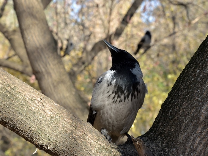 Тот самый уникальный штрих-код