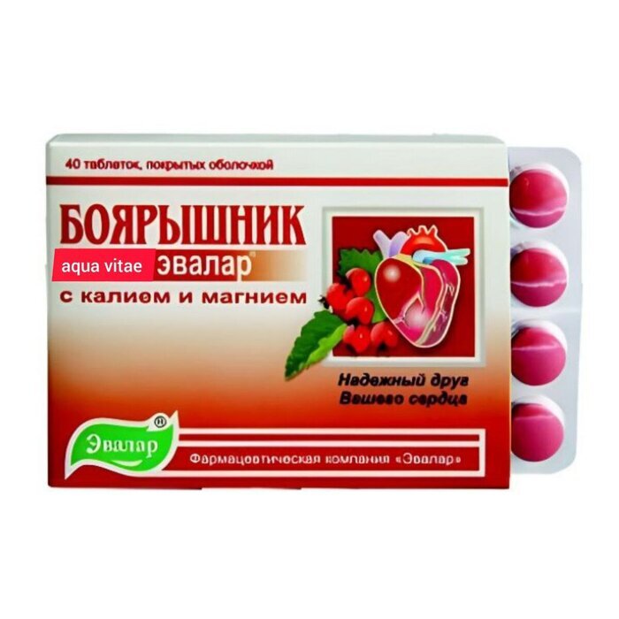 ��������� ����� ��������. ��������������� ������� ����� XVI ����