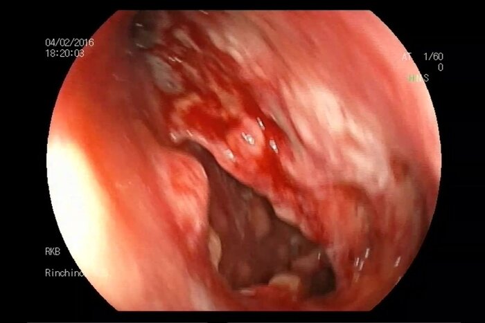 ,   :        ,      ,         . 