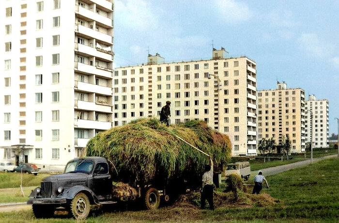 Жизнь Советской Москвы в 60-е годы. 20 раскрашенных фотографий Колоризация, Старое фото, Историческое фото, Фотография, Москва, СССР, Детство в СССР, 60-е, История города, Длиннопост