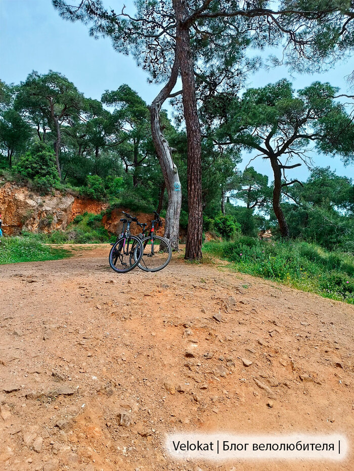 �������� �����������