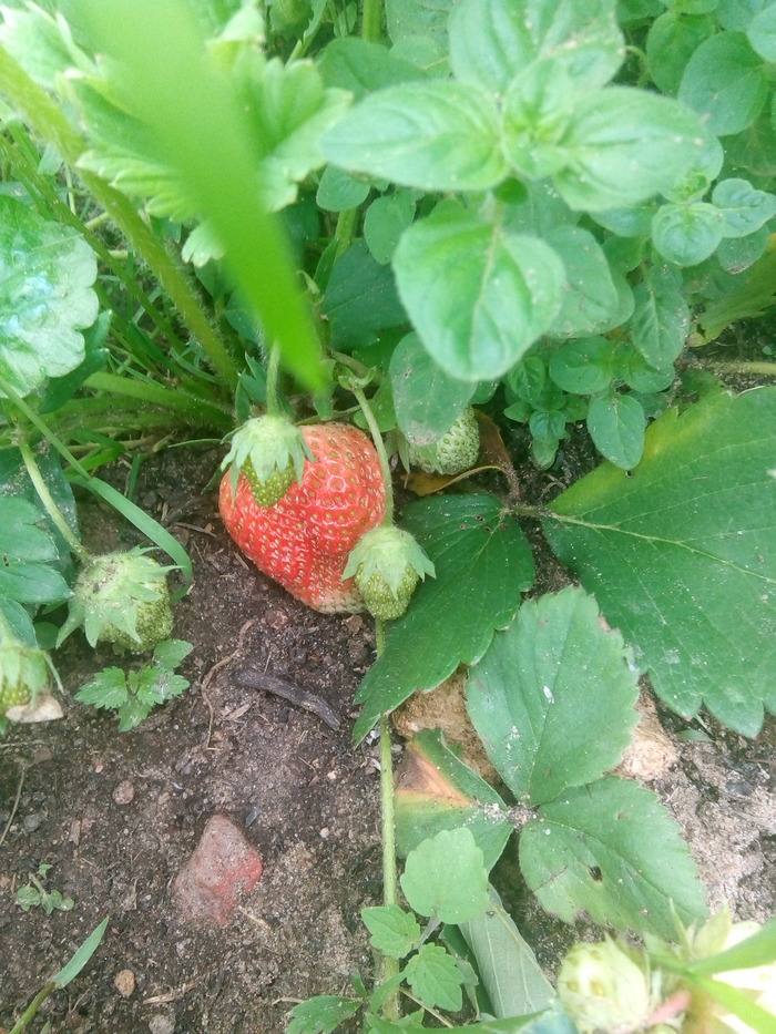 � ���� ��� ����� ����.