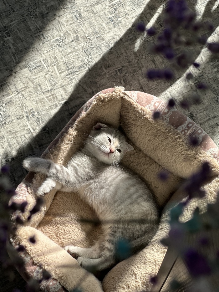 ���������� � ����, ��� �������� � ���� ��������