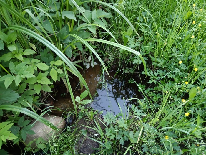 ����� ����� � ������