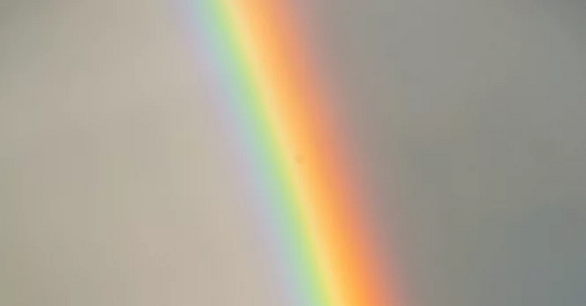 Rainbow | Пикабу