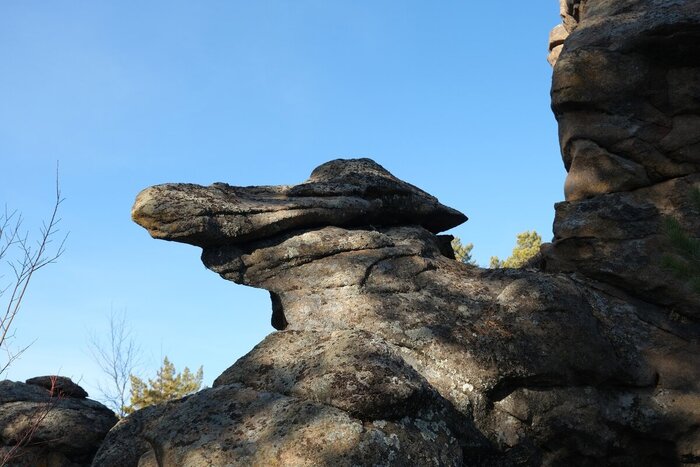 На кого похоже?