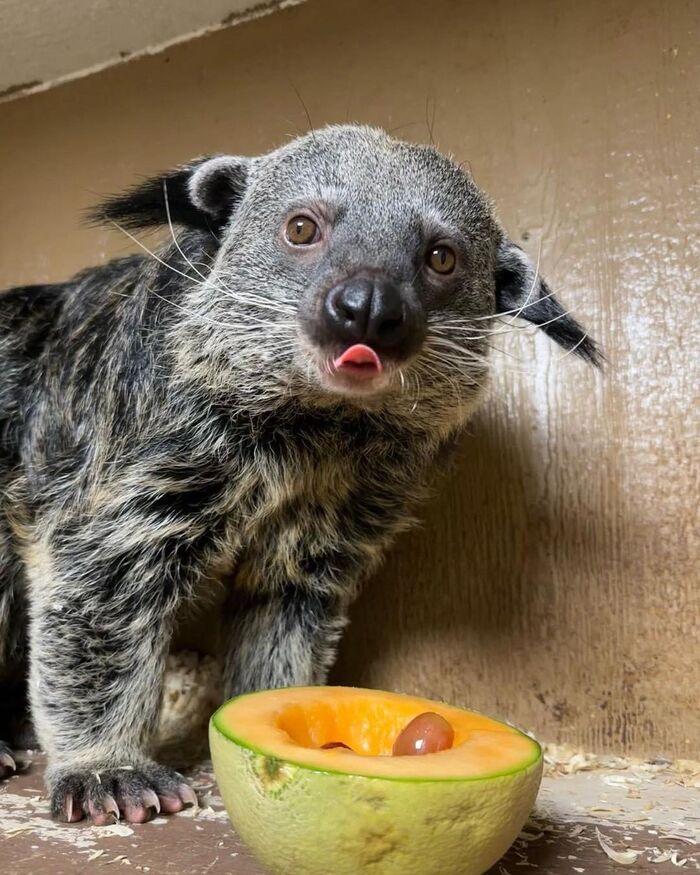! ,  ,  , , , , 
