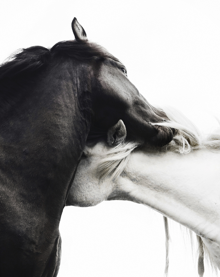  Gigja Einars () . 1-     