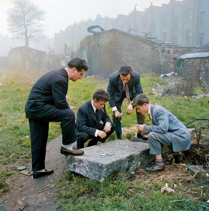 ��������: ���� �����