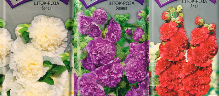 Бренд семян убрала. Это не реклама.