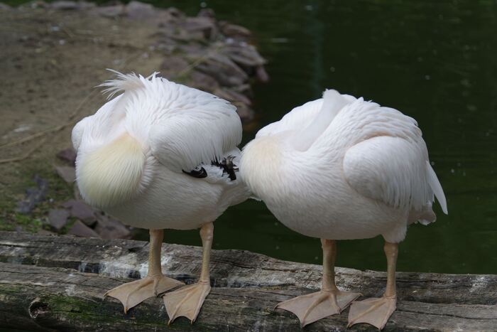 Спрятались =)