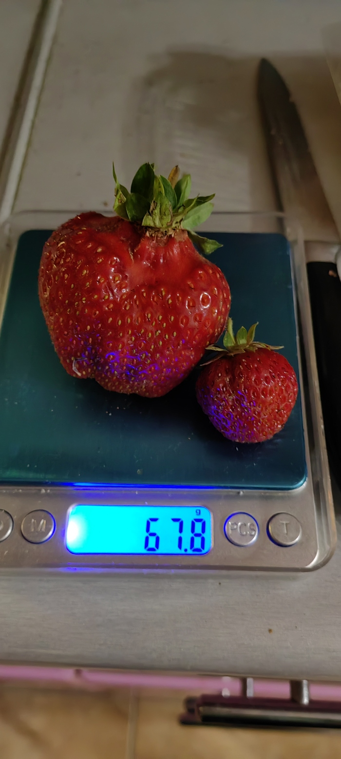 ��� ���������, ����������� �������� (������) � ����������.